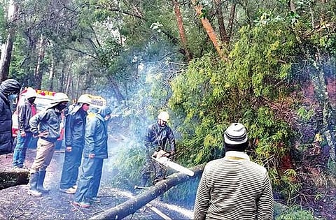 நீலகிரியில் 4-வது நாளாக தொடர் மழை -  அவலாஞ்சியில் அதிகபட்சமாக 136 மி.மீ. மழை பதிவு :