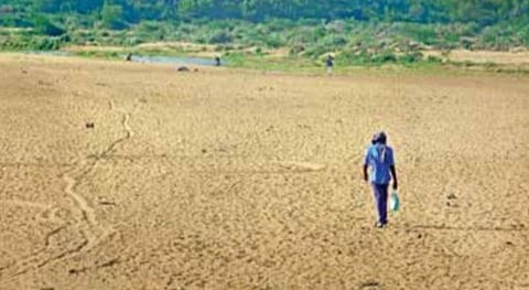 ஸ்ரீரங்கம் வடக்குவாசல் - நொச்சியம் இடையே கொள்ளிடம் ஆற்றில் தரைப்பாலம் கட்டப்படுமா? - தேர்தலின்போது அளித்த வாக்குறுதியை எம்எல்ஏக்கள் நிறைவேற்ற வலியுறுத்தல்