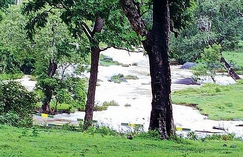 முதுமலையில் தொடர் மழையால் மாயாற்றில் வெள்ளப்பெருக்கு :