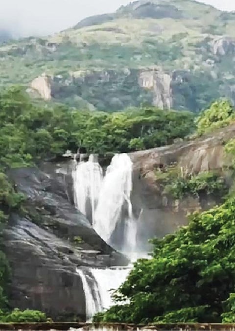 மேற்குத்தொடர்ச்சி மலையில் மேகம் சூழ்ந்து லேசான சாரல் பெய்ததால் குற்றாலம் அருவியில் தண்ணீர் ஆர்ப்பரித்து கொட்டியது.