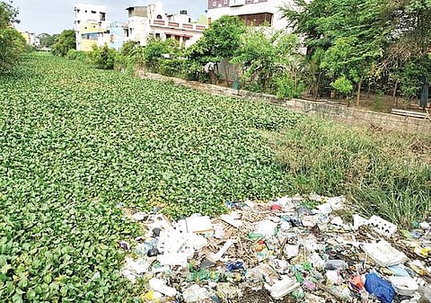 ஆகாயத் தாமரை, குப்பையுடன் கழிவுநீர் கலந்து ஓடும் உய்யக்கொண்டான் கால்வாய்.படம்: ஜி.ஞானவேல்முருகன்
