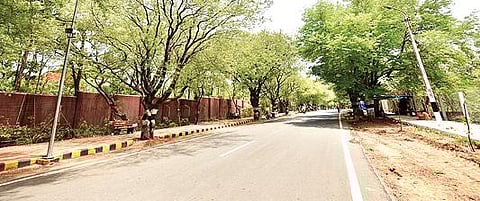 திருவண்ணாமலையில் பக்தர்களின்றி வெறிச்சோடிய கிரிவல பாதை.