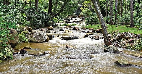ஏற்காட்டில் நேற்று முன்தினம் இரவு பெய்த கனமழையால் மஞ்சகுட்டை அருகே செல்லும் ஓடையில் தண்ணீர் பெருக்கெடுத்து ஓடியது.      படம்: எஸ்.குரு பிரசாத்
