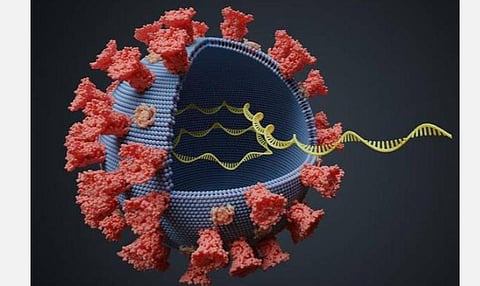 அச்சுறுத்தும் டெல்டா பிளஸ் வைரஸ்!