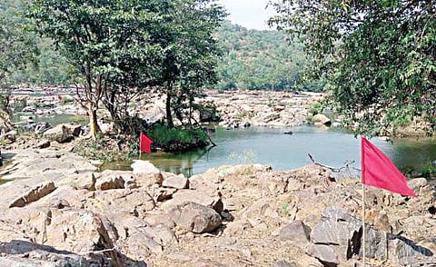 மேகேதாட்டுவில் அணை கட்டுவதற்காக கர்நாடக அரசு தேர்வு செய்துள்ள இடத்தில் அந்த மாநில நீர்வளத் துறை சார்பில் நடப்பட்டுள்ள கொடிகள்.