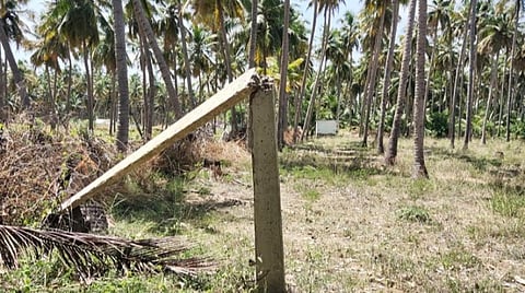 கீழடியில் விவசாயி சேதுராமுவின் நிலத்தில் சேதமடைந்த நிலையில் உள்ள மின்கம்பம்.