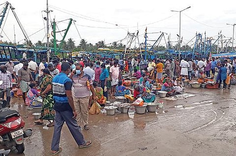 கடலூர் துறைமுகத்தில் மீன் வாங்க குவிந்த மக்கள்.