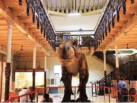 எழும்பூர் அருங்காட்சியகம் உள்ளிட்ட அரசு அருங்காட்சியகங்கள் திறப்பு: தினமும் மாலை 5 மணி வரை செயல்படும்