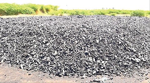 விளாத்திகுளம் அருகே பனையடிபட்டி கிராமப்பகுதியில் கரி மூட்டம் போட வெட்டி வைக்கப்பட்டுள்ள விறகுகள். (அடுத்த படம்) தயாரிக்கப்பட்ட  கரி துண்டுகள்.