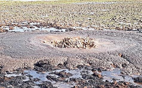 மன்னார்குடி அருகே கோட்டூர் ஒன்றியம் பனையூரில் நேற்று குழாயில் உடைப்பு ஏற்பட்டு வெளியேறியதால், விளைநிலம் முழுவதும் பரவியுள்ள கச்சா எண்ணெய்.