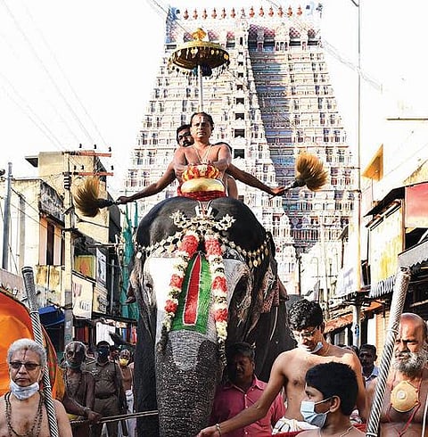 ரங்கம் ரங்கநாதர் கோயிலில் தாயார் ஜேஷ்டாபிஷேகத்தையொட்டி நேற்று காவிரி ஆற்றில் இருந்து தங்கக்குடத்தில் புனித நீர் எடுக்கப்பட்டு  கோயில் யானை  ஆண்டாள் மீது வைத்து  ஊர்வலமாக தாயார் சன்னதிக்கு எடுத்து வரப்பட்டது.படம்: ஜி.ஞானவேல்முருகன்