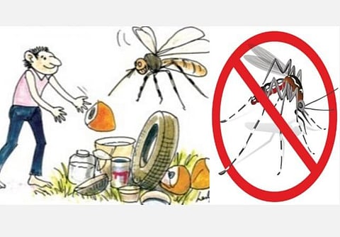 டெங்கு கொசு பரவல்; தண்ணீர் தேங்கும் பொருட்களை அகற்றவும்: சென்னை மாநகராட்சி வேண்டுகோள்