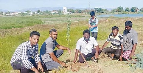 மேலப்பாளையம் கன்னிமார் குளத்தின் மையப்பகுதியில் தன்னார்வலர்கள் இணைந்து மரக்கன்றுகள் நட்டனர்.