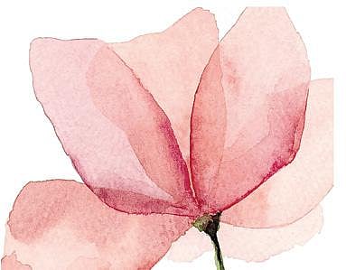 காபி வளைய விளைவால் உருவான நீர் வண்ண ஓவியம்.