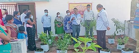 கடலூரில் வேளாண் துறை சார்பில் மாடித்தோட்டம் மற்றும் வீட்டுக்காய்கறித் தோட்டம் அமைப்பது குறித்து பெண்கள், விவசாயிகளுக்கு பயிற்சி அளிக்கப்பட்டது.