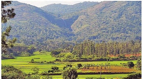 கோப்புப்படம்