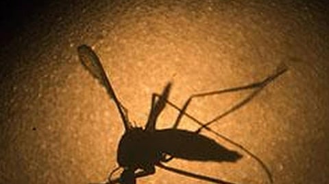 கேரளாவில் ஜிகா வைரஸ்; மத்திய குழு விரைகிறது