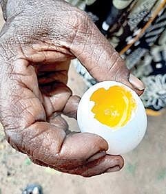 அழுகிய முட்டை.