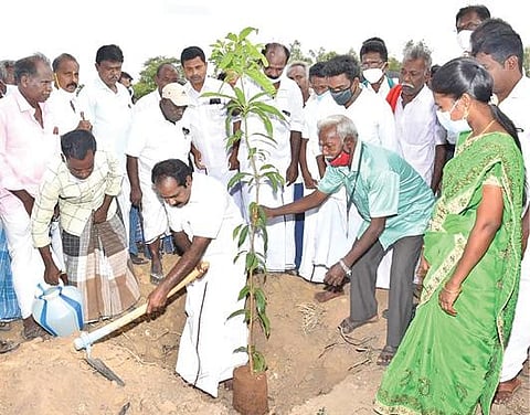 புதுக்கோட்டை மாவட்டம் அறந்தாங்கி அருகே மறமடக்கியில் குறுங்காடு அமைப்பதற்காக நேற்று மரக்கன்று நடுகிறார் மாநில சுற்றுச்சூழல் துறை அமைச்சர் சிவ.வீ.மெய்யநாதன்.