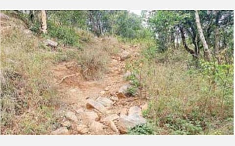 கோரையாறு அருவிக்கு பாதை, பாதுகாப்பு வசதி ஏற்படுத்தப்படுமா?