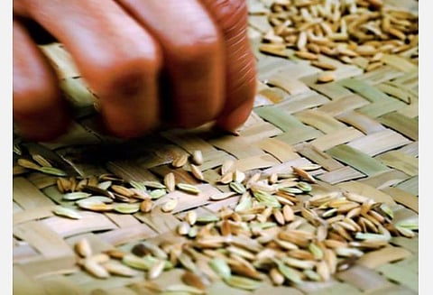 உரிமம் பெற்ற விற்பனையாளர்களிடம் மட்டுமே விதைகளை வாங்க வேண்டும்: விவசாயிகளுக்கு கோவை விதைச் சான்று இயக்குநர் அறிவுறுத்தல்