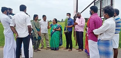 ஆழ்வார்திருநகரி பகுதியில் நெற்பயிரில் பாக்டீரியா இலைக் கருகல் மற்றும் சிலந்தி பேன் தாக்குதல் குறித்து வேளாண் நிபுணர் குழுவினர் ஆய்வு செய்தனர்.