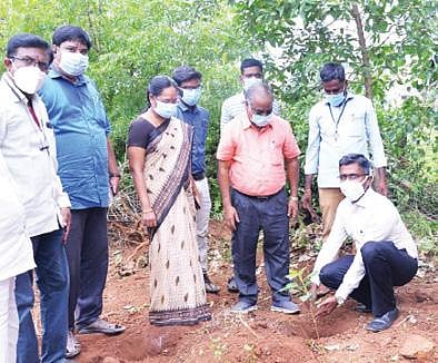 கள்ளக்குறிச்சி விஐபி கார்டனில் மியாவாக்கி முறையில் மரக்கன்றுகளை நடும் ஆட்சியர் பி.என்.தர்.