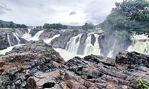 கர்நாடக மாநில அணைகளில் இருந்து உபரிநீர் திறக்கப்பட்டதைத் தொடர்ந்து நீர்வரத்து அதிகரிப்பால் ஒகேனக்கல் ஐந்தருவியில் (ஐவர் பாணி)  ஆர்ப்பரித்துக் கொட்டும் தண்ணீர்.