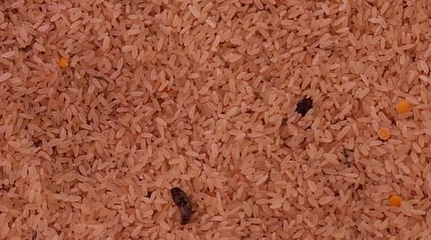 சிவகங்கை 48 காலனி அரசு பள்ளியில் மாணவர்களுக்கு விநியோகிக்கப்பட்ட தரமற்ற அரிசி.