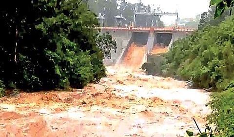 சோலையாறு அணையில் 3 மதகுகள் வழியாக தண்ணீர் திறப்பு :  நீலகிரியில் மழை குறைந்ததால் இயல்பு நிலைக்கு திரும்பிய மக்கள்