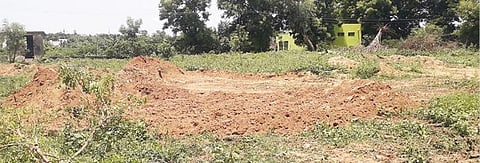 மரங்களை வெட்டி அதன் சுவடு தெரியாமல் இருக்க வேரோடு எரித்துள்ளனர்.