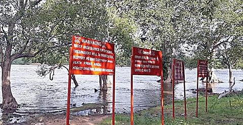 ஒகேனக்கல் அடுத்த ஆலம்பாடி பகுதியில் கரையோரம் வைக்கப்பட்டுள்ள எச்சரிக்கை பலகைகளை நெருங்கி ஓடிக் கொண்டிருக்கும் தண்ணீர்.