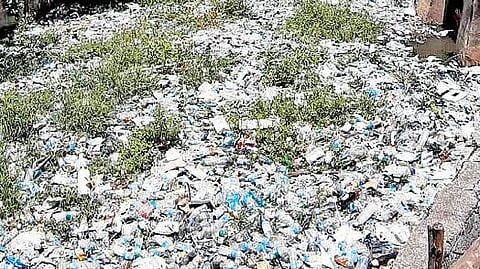 திண்டிவனம்  ராஜாகுளத்திற்கு வரும் வரத்து வாய்க்காலில் வீசி ஏறியப்பட்ட பாலித்தீன் கவர்கள்.