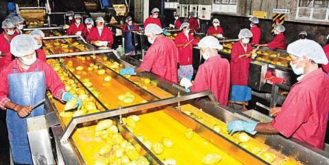 கிருஷ்ணகிரியில் மாங்கூழ் தொழிற்சாலையில் அரவைக்காக மாங்காய்கள் சுத்தப்படுத்தும் தொழிலாளர்கள். (கோப்பு படம்)