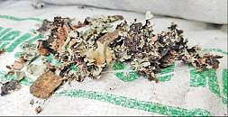 பறிமுதல் செய்யப்பட்ட கல்பாசி இலைகள்.