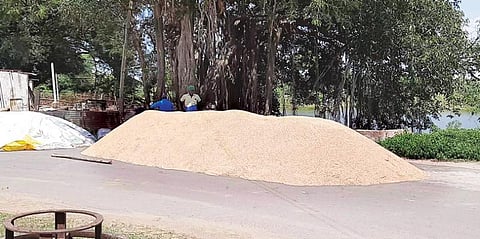 காவாலக்குடியில் சாலையில் விவசாயிகள் கொட்டி வைத்துள்ள நெல் குவியல்.