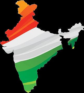 டிங்குவிடன் கேளுங்கள்: பாம்புகள் பார்ப்பவை எல்லாம் பச்சையாக இருக்குமா?