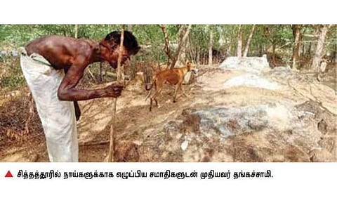 40 நாய்களுக்கு சமாதி எழுப்பிய முதியவர்: காளையார்கோவில் அருகே சுவாரசியம்