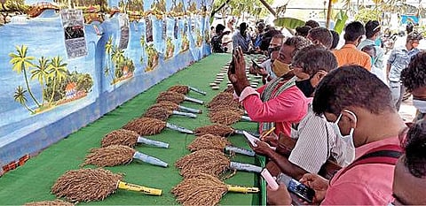 திருத்துறைப்பூண்டியில் நேற்று தேசிய நெல் திருவிழா அரங்கத்தில் வைக்கப்பட்டிருந்த 174 வகையான பாரம்பரிய நெல் ரகங்களை பார்வையிட்ட ஆர்வலர்கள். படம்: எஸ்.கோபாலகிருஷ்ணன்