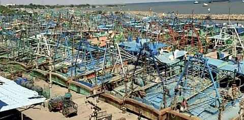 மீனவர்கள் வேலைநிறுத்தம் காரணமாக தூத்துக்குடி மீன்பிடி துறைமுகத்தில் நிறுத்தி வைக்கப்பட்டிருந்த விசைப்படகுகள்.