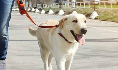 கோப்புப் படம்