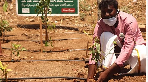 கோவை பேரூர் குளக்கரையில் மரக்கன்றுகள் நடும் பணியில் ஈடுபட்ட தன்னார்வலர் மணிகண்டன்.