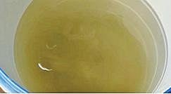 சிவகங்கை குமரன் தெருவில் விநியோ கிக்கப்பட்ட கழிவுநீர் கலந்த குடிநீர்.