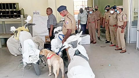 திருநெல்வேலி சந்திப்பு ரயில் நிலையத்தில் மோப்ப நாய் உதவியுடன் போலீஸார் சோதனை மேற்கொண்டனர். படம்: மு. லெட்சுமி அருண்.