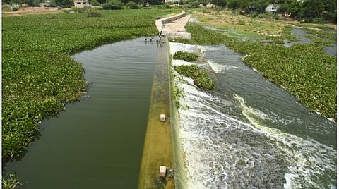 2 ஆண்டுகளாக வைகை ஆற்றில் வீணாகக் கலக்கும் மழைநீர்: தீர்வை எதிர்நோக்கி மக்கள்