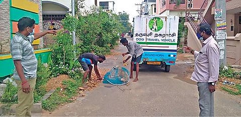 தருமபுரி நகராட்சி பகுதியில் நடமாடும் தெருநாய்களை கருத்தடை மற்றும் தடுப்பூசி சிகிச்சைக்காக பிடிக்கும் பணியில் ஈடுபட்டுள்ள நகராட்சி குழுவினர்