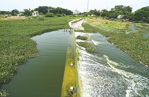 மதுரை வண்டியூர் கண்மாய் தூர்வாராமல் இருப்பதால் மறுகால் பாய்ந்து வீணாகும் தண்ணீர். படம்: ஆர்.அசோக்