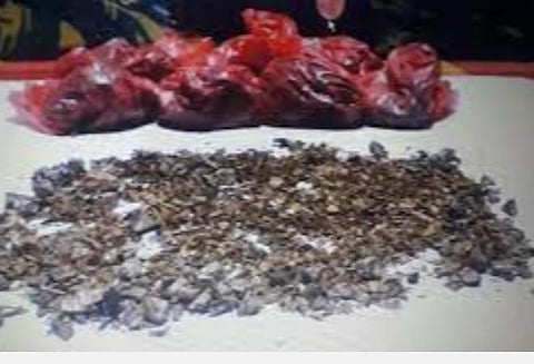 சென்னையில் சட்டவிரோதமாக மாவா போதைப்பொருள் விற்பனை; இருவர் கைது- பொருட்கள் பறிமுதல்