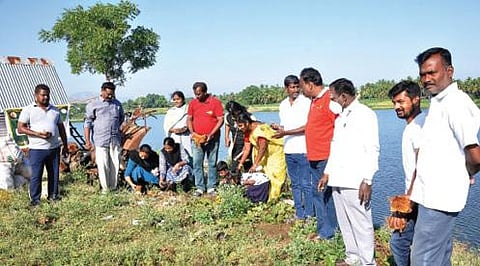 கிருஷ்ணகிரி கட்டிகானப்பள்ளி ஊராட்சி புதூர் ஏரிக்கரையில் பனை விதைகளை விதைக்கும் பணியில் ஈடுபட்ட குழுவினர்.