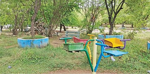 விருதுநகர் கல்லூரி சாலையில் பராமரிப்பின்றி காணப்படும் சிறுவர் பூங்கா.